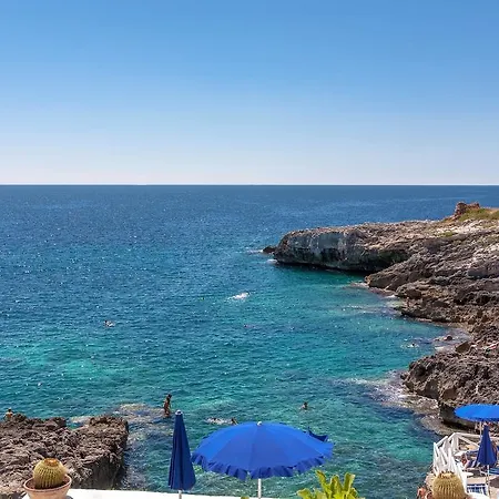 La Rondinella